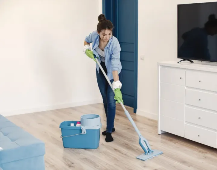 Femme de ménage Sancergues